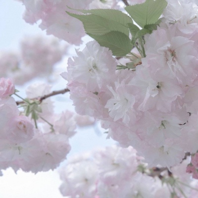 兽设拟人化设计实用技巧兽圈群